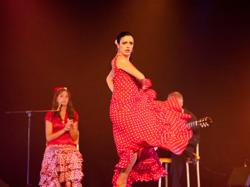 Une danseuse de Vida Flamenca en spectacle